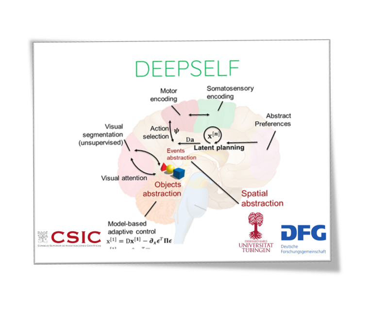 Image for DEEPSELF project